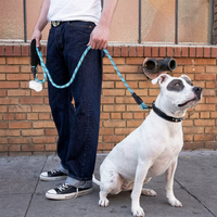 PawLeash