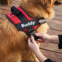 PawGuard
