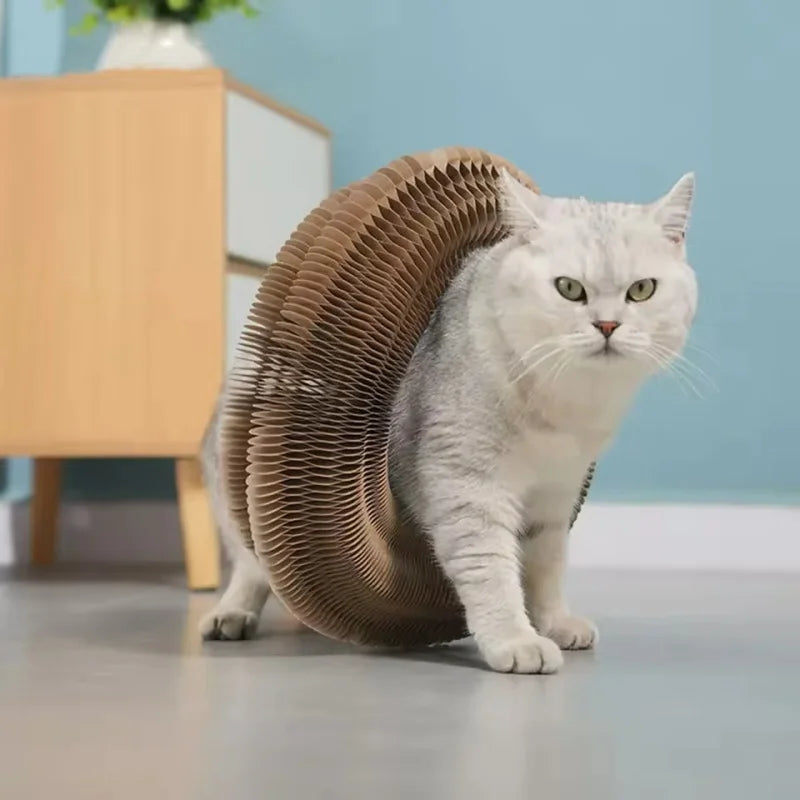 PawSpin