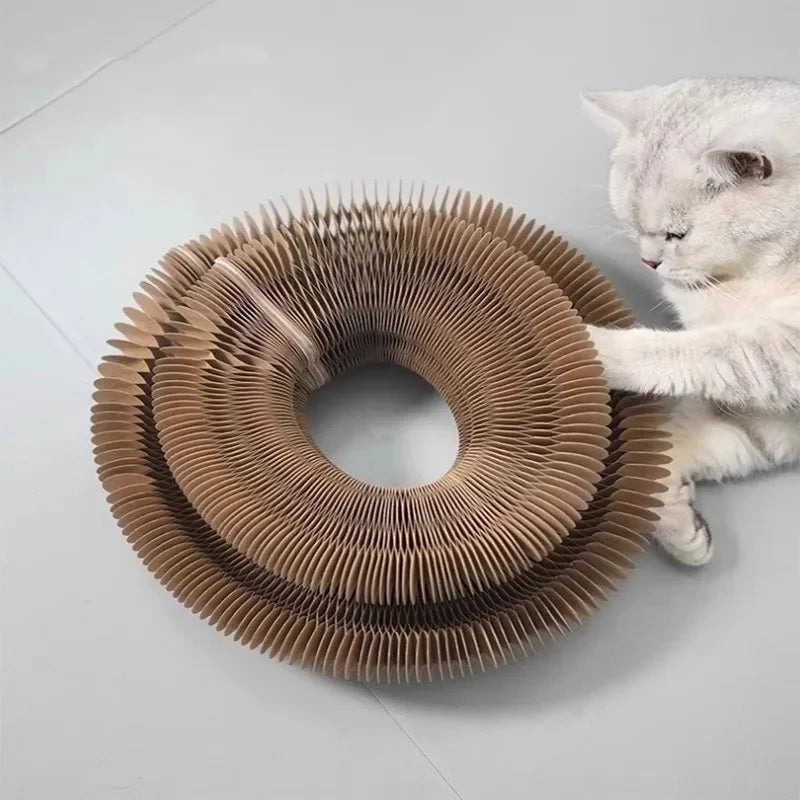 PawSpin