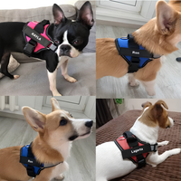 PawGuard