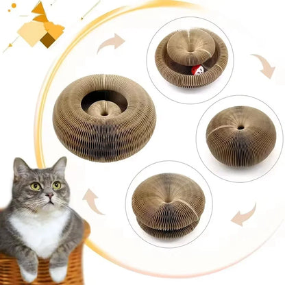 PawSpin
