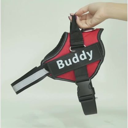 PawGuard